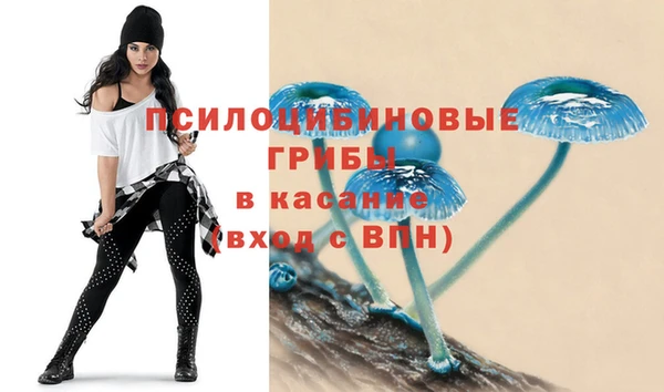 мяу мяу мука Алексеевка