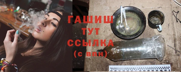 прущий лед Алзамай